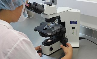 Anhand von Lebergewebeproben verstorbener Patienten kann nachgewiesen werden, dass SARS-CoV-2 die Leber bis in die Mikrogefäße schädigt. - Symbolfoto: Pixabay Anhand von Lebergewebeproben verstorbener Patienten kann nachgewiesen werden, dass SARS-CoV-2 die Leber bis in die Mikrogefäße schädigt. - Symbolfoto: Pixabay