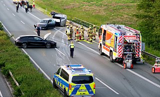 Die Tiere und die beiden Insassen des Zugfahrzeuges kamen mit leichten Blessuren davon. - Ralph Meyer Die Tiere und die beiden Insassen des Zugfahrzeuges kamen mit leichten Blessuren davon. - Ralph Meyer