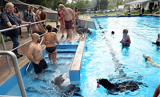 Was für eine Gaudi: Auch ohne Sonnenschein haben Hundebesitzer und Vierbeiner jede Menge Spaß beim Baden. - Reinhard Peters Was für eine Gaudi: Auch ohne Sonnenschein haben Hundebesitzer und Vierbeiner jede Menge Spaß beim Baden. - Reinhard Peters