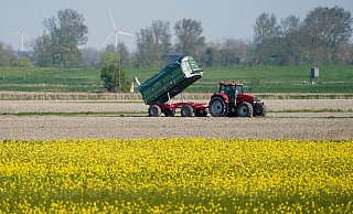 Die Umweltauflagen für Landwirte sollen auf EU-Ebene gelockert werden - das ist nicht unumstritten. - Marcus Brandt/dpa Die Umweltauflagen für Landwirte sollen auf EU-Ebene gelockert werden - das ist nicht unumstritten. - Marcus Brandt/dpa