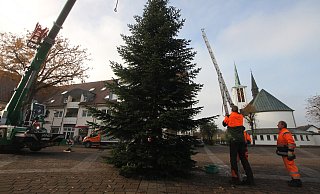 Weihnachtsbaum auf dem Holter Kirchplatz. - Sigurd Gringel Weihnachtsbaum auf dem Holter Kirchplatz. - Sigurd Gringel
