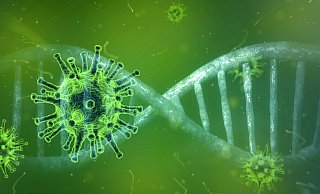 Der Anteil der gefährlichen Virusmutationen liegt, auf sieben Tage gesehen, bei fast20 Prozent. Zeitgleich hakt es bei der Impfkampagne in Bielefeld. - Pixabay Der Anteil der gefährlichen Virusmutationen liegt, auf sieben Tage gesehen, bei fast20 Prozent. Zeitgleich hakt es bei der Impfkampagne in Bielefeld. - Pixabay