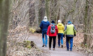 Im Wald ist es seit Corona voller geworden. - Hauke-Christian Dittrich/dpa Im Wald ist es seit Corona voller geworden. - Hauke-Christian Dittrich/dpa