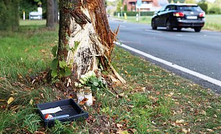 Der Wagen kam nach links von der Fahrbahn ab und prallte gegen diesen Baum. - Alex Lehn Der Wagen kam nach links von der Fahrbahn ab und prallte gegen diesen Baum. - Alex Lehn