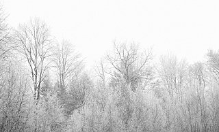 Der Mühlenkreis könnte mit Schnee bedeckt werden. - Pixabay (Symbolbild) Der Mühlenkreis könnte mit Schnee bedeckt werden. - Pixabay (Symbolbild)