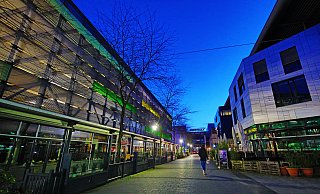 Normalerweise ist seit Ausbruch der Corona-Pandemie tote Hose auf dem Bielefelder Boulevard. - Sarah Jonek Normalerweise ist seit Ausbruch der Corona-Pandemie tote Hose auf dem Bielefelder Boulevard. - Sarah Jonek