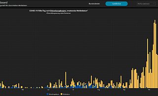 - Screenshot: RKI  - Screenshot: RKI