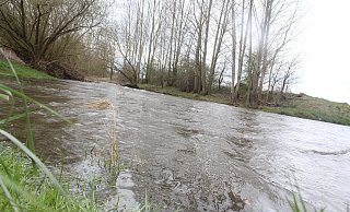 Die Diemel bei Ossendorf soll auf renaturiert werden – dadurch soll langfristig auch die Wasserqualität verbessert werden. - Burkhard Battran Die Diemel bei Ossendorf soll auf renaturiert werden – dadurch soll langfristig auch die Wasserqualität verbessert werden. - Burkhard Battran