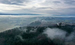 Nebel liegt über dem Wald bei Obereisenbach im Allgäu. Böden und Pflanzen speichern CO2 - es ist natürlicher Klimaschutz. - Felix Kästle/dpa Nebel liegt über dem Wald bei Obereisenbach im Allgäu. Böden und Pflanzen speichern CO2 - es ist natürlicher Klimaschutz. - Felix Kästle/dpa