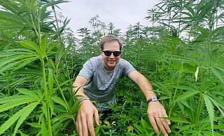 Hereinspaziert: Malte Janßen im Hanffeld in Steinheim, in dem am Wochenende ein entspanntes Festival gefeiert wird. - David Schellenberg Hereinspaziert: Malte Janßen im Hanffeld in Steinheim, in dem am Wochenende ein entspanntes Festival gefeiert wird. - David Schellenberg