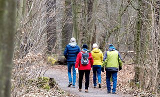 Unterwegs kommen die Menschen zuverlässig ins Gespräch miteinander, die Idee der Spaziertreffs. - dpa Unterwegs kommen die Menschen zuverlässig ins Gespräch miteinander, die Idee der Spaziertreffs. - dpa