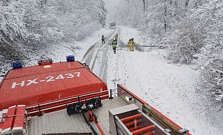 Auch die Feuerwehren aus Bosseborn und Ovenhausen sind im wetterbedingten Einsatz. Auf der L890 zwischen den beiden Ortsteilen war aufgrund der Schneelast ein Baum umgefallen. - Feuerwehr Höxter Auch die Feuerwehren aus Bosseborn und Ovenhausen sind im wetterbedingten Einsatz. Auf der L890 zwischen den beiden Ortsteilen war aufgrund der Schneelast ein Baum umgefallen. - Feuerwehr Höxter