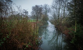 Das Flussbrett soll breiter werden. - Sarah Jonek Das Flussbrett soll breiter werden. - Sarah Jonek