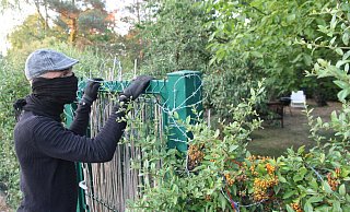 In Bad Holzhausen sind Diebe durch einen Garten geschlichen und in ein Haus eingebrochen (Symbolbild). - Oliver Herold In Bad Holzhausen sind Diebe durch einen Garten geschlichen und in ein Haus eingebrochen (Symbolbild). - Oliver Herold