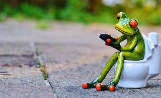 Das Problem fehlender Toiletten in der Bielefelder Innestadt sollte bald beseitigt sein. - Symbolbild Pixabay Das Problem fehlender Toiletten in der Bielefelder Innestadt sollte bald beseitigt sein. - Symbolbild Pixabay