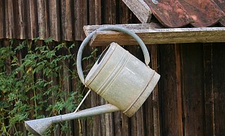 Die Gießkanne hat Pause. In Bad Oeynhausen ist das Wässern im Garten verboten. - Manfred Richter / pixabay Die Gießkanne hat Pause. In Bad Oeynhausen ist das Wässern im Garten verboten. - Manfred Richter / pixabay