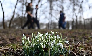 Nach Eis und Schnee können sich die Menschen in NRW nun über frühlingshaftes Wetter freuen. Doch einigen macht der Umschwung stark zu schaffen. - picture alliance Nach Eis und Schnee können sich die Menschen in NRW nun über frühlingshaftes Wetter freuen. Doch einigen macht der Umschwung stark zu schaffen. - picture alliance
