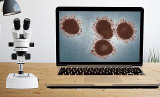 Wie schnell kommen die Testmeldungen zu Corona in den Statistiken an? - Pixabay Wie schnell kommen die Testmeldungen zu Corona in den Statistiken an? - Pixabay