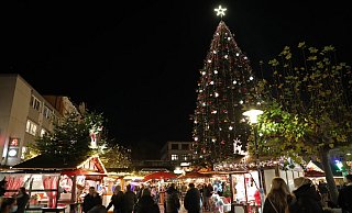 20 Meter hoch ragt die Nordmanntanne über den Weihnachtsmarktbuden auf dem Alten Markt auf. - Frank-Michael Kiel-Steinkamp 20 Meter hoch ragt die Nordmanntanne über den Weihnachtsmarktbuden auf dem Alten Markt auf. - Frank-Michael Kiel-Steinkamp
