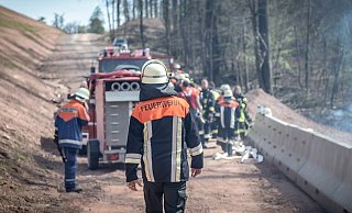 Die Regionalforstämter und der Deutsche Wetterdienst stufen die Waldbrandgefahr als erheblich ein. - Symbolfoto: Pixabay Die Regionalforstämter und der Deutsche Wetterdienst stufen die Waldbrandgefahr als erheblich ein. - Symbolfoto: Pixabay