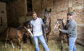 Dennis Malett (l.) und Dennis Flues mit den Fohlenzwillingen Sonny und Sallysowie Mutterstute "Calina Blue". - Jörg Dieckmann Dennis Malett (l.) und Dennis Flues mit den Fohlenzwillingen Sonny und Sallysowie Mutterstute "Calina Blue". - Jörg Dieckmann