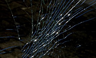 Der Täter soll eine Autoscheibe eingeschlagen haben. Symbolbild: Pixabay Der Täter soll eine Autoscheibe eingeschlagen haben. Symbolbild: Pixabay