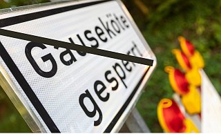 Die Gauseköte ist am Dienstagmittag wieder für den Verkehr freigegeben worden. - Jannik Stodiek/Montage: LZ Die Gauseköte ist am Dienstagmittag wieder für den Verkehr freigegeben worden. - Jannik Stodiek/Montage: LZ