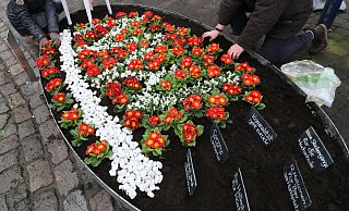 Blumeninseln sollen – wie 2018 – auch in diesem Frühjahr in der Innenstadt erblühen und für Freude sorgen. - Simone Flörke Blumeninseln sollen – wie 2018 – auch in diesem Frühjahr in der Innenstadt erblühen und für Freude sorgen. - Simone Flörke